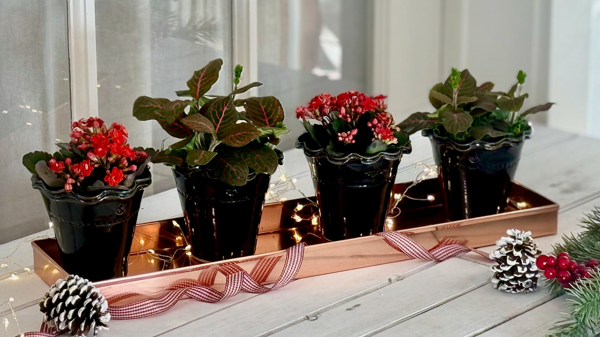 Glazed Herb Pots, Tenmoku Black, Set of 4 with Rectangular Tray